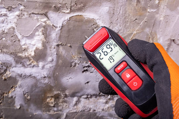 Best Mold Removal Near Me  in Helena Valley West Central, MT