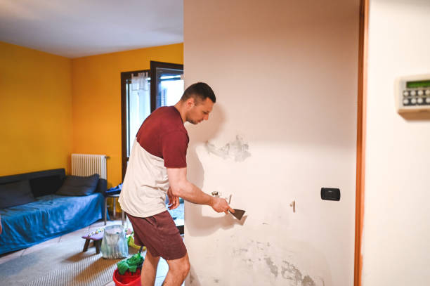 Best Home Mold Removal  in Helena Valley West Central, MT