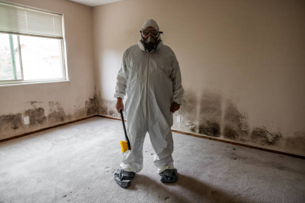 Best Office Mold Removal Services  in Helena Valley West Central, MT